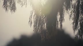 我親愛的白月光7