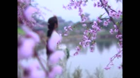 聊齋11