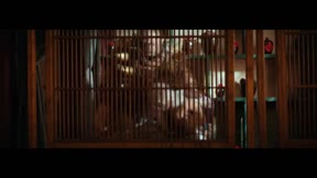 畫江湖之不良人11