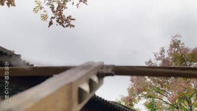 緣來是殿下16