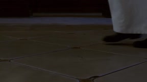 焚心4