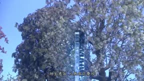霹靂邪章之道劫龍戰6