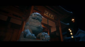 南相思8