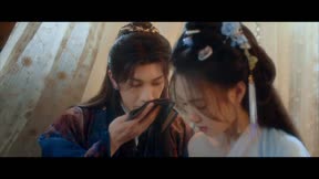 南相思13