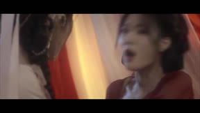 南相思19
