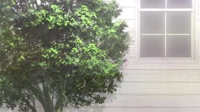 魔法姊妹露露特莉莉7