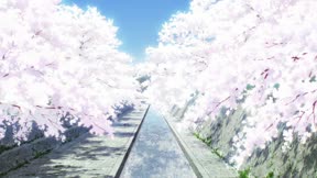 淡島百景10