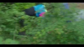 逆轉1