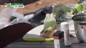 我家的熊孩子495