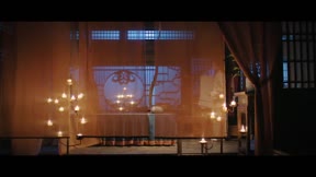 賢婿之憨婿2