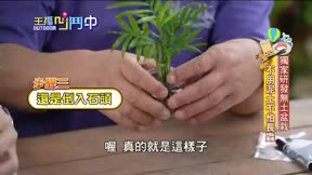 主播凹鬥中 第121集
