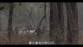 大風歌 第38集