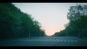 共感細胞8