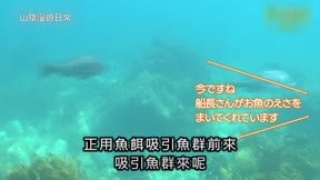 山陰漫遊日常10