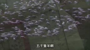 大盛魁19