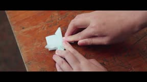 燦如繁星13