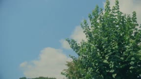 療傷遊戲5