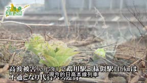 北海道深度之旅1