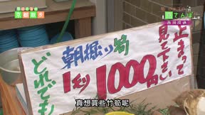 原日出子的京都散步11
