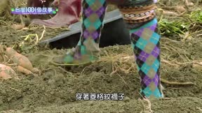台灣一千零一個故事 第49集