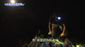 台灣一千零一個故事 第95集