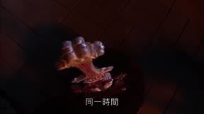 霹靂天命之戰禍邪神16