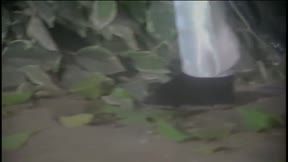 霹靂震寰宇之刀龍傳說6