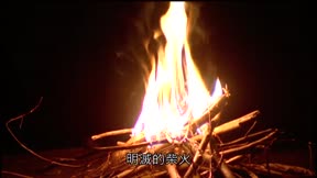 霹靂天啟7