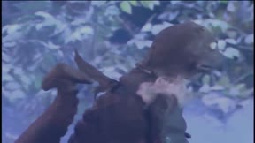 霹靂皇朝之鍘龑史9