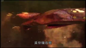 霹靂兵燹之刀戟戡魔錄3
