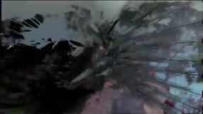 霹靂皇龍紀19
