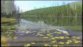 霹靂劍蹤15
