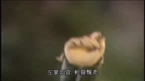 霹靂異數之萬里征途1