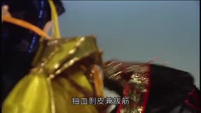 霹靂異數之萬里征途8