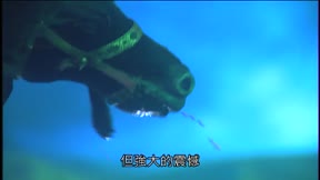 霹靂九皇座18