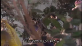 霹靂封靈島12