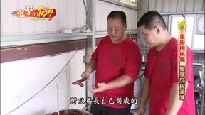 進擊的台灣 第169集
