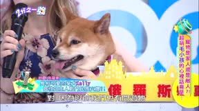 2分之一強 第154集 寵物是家人還是敵人?! 超萌毛小孩的心裡話竟是…