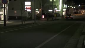 純情佳偶4