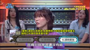 全民星攻略 第505集 網路竄紅大神