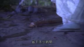 霹靂兵烽決之碧血玄黃2