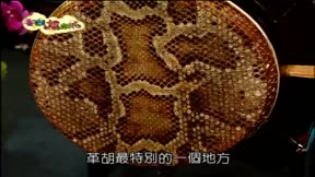 音樂爆米花第3季10