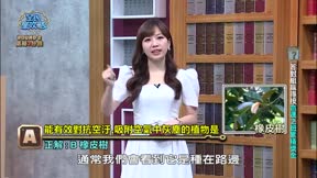 全民星攻略 第582集 新食代專家