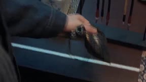 贅婿2