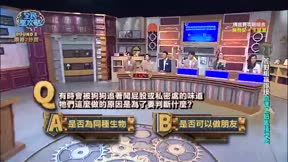 全民星攻略 第672集 第一屆大腦運動會