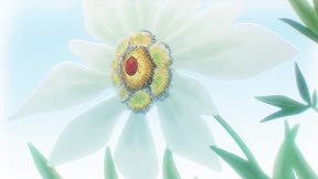 書蟲公主8