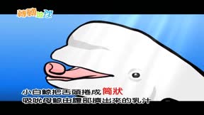 轉轉地球2