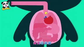 寶寶巴士—幼兒啟蒙認知12