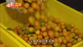 進擊的台灣 第26集