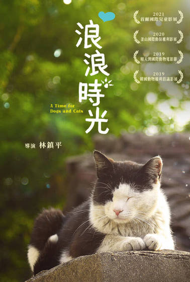 浪浪時光